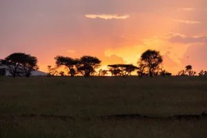 Serengeti National Park