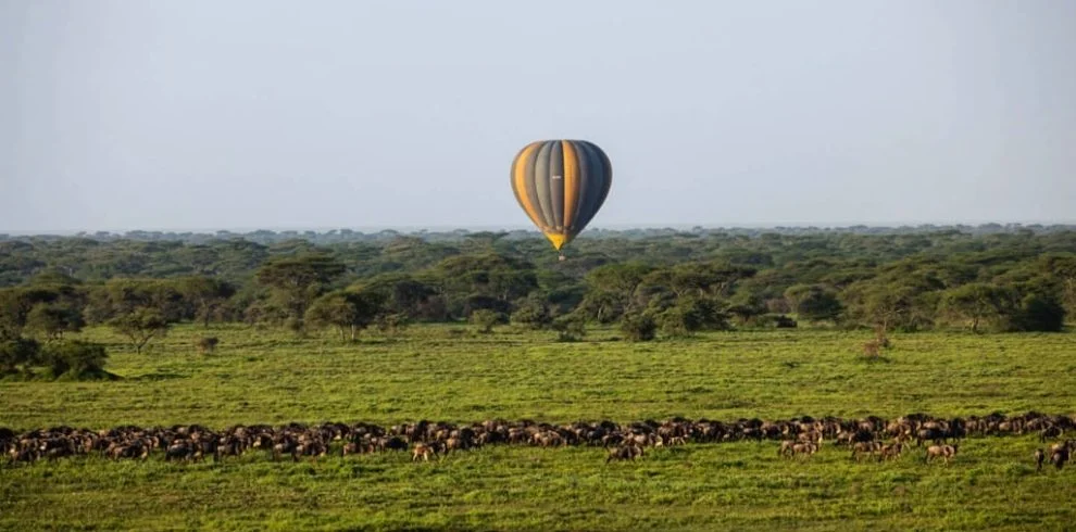 Hot Air Balloon Safari, Safari en Montgolfière