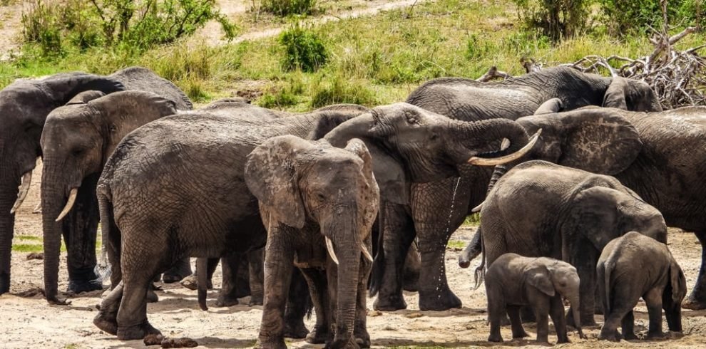 Tarangire National Park