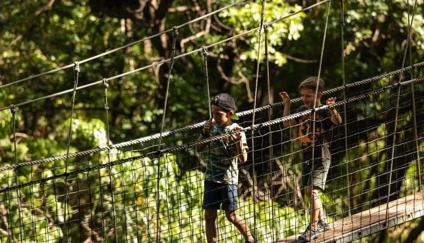 Treetop Walkway, Passerelle dans les arbres