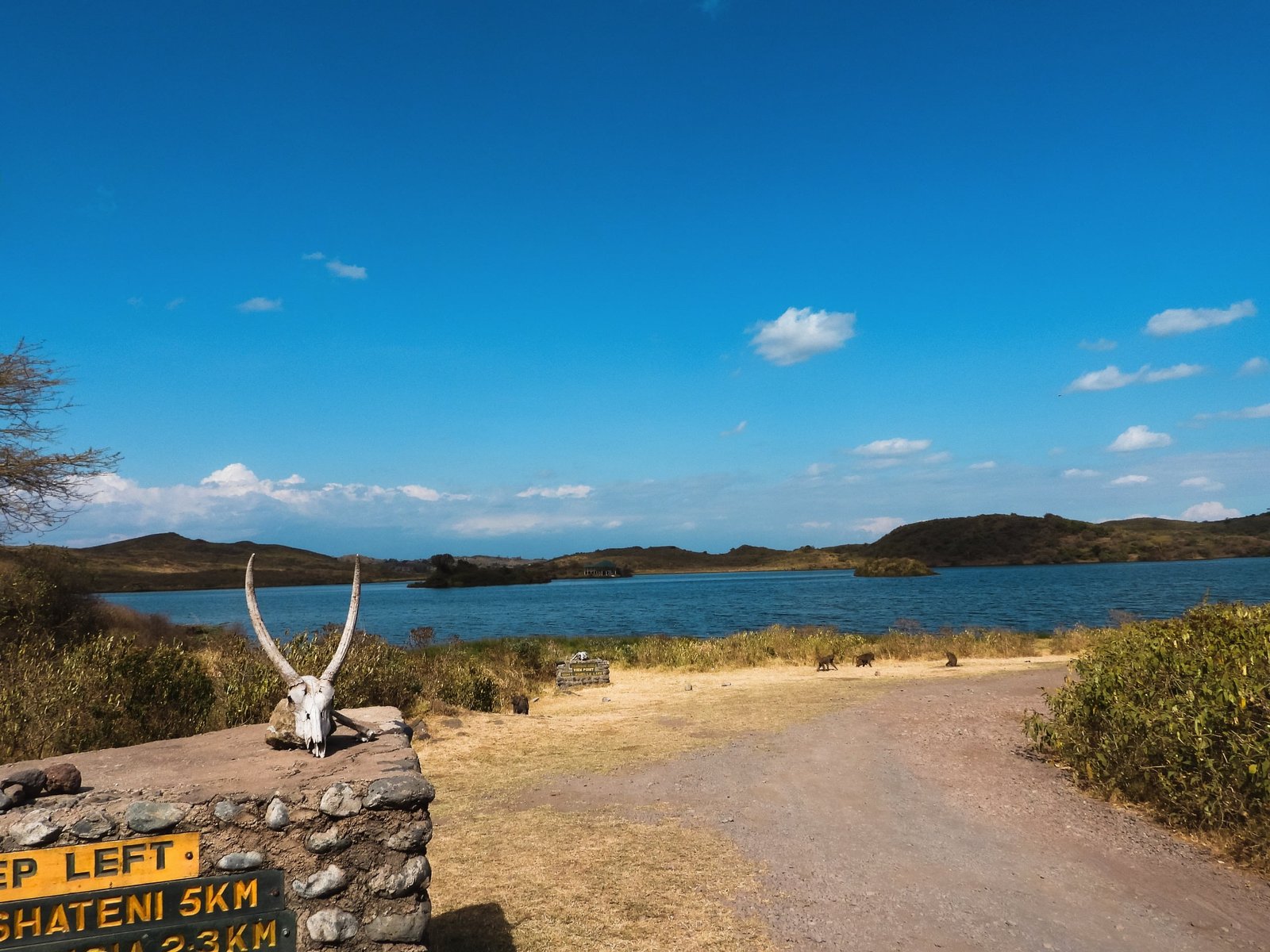 Day trip to Arusha National Park