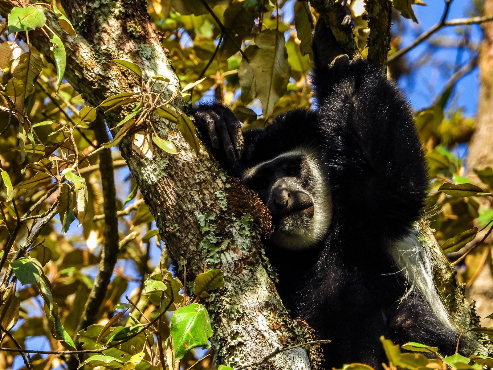 Day trip to Arusha National Park