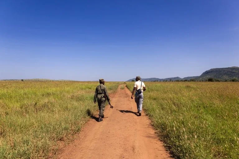 Walking Safari, Safari à Pied