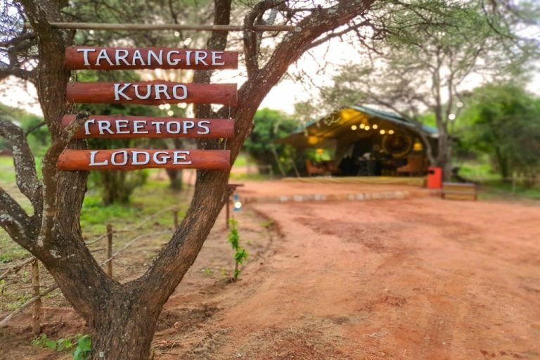 Tarangire Kuro Treetops Lodge