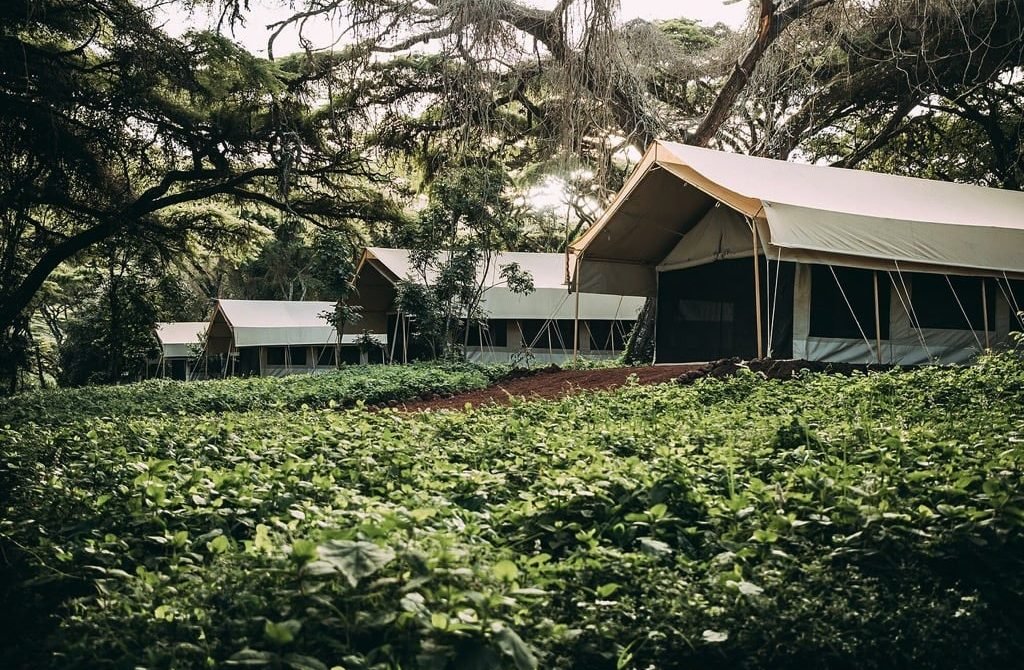 Ngorogoro Tortilis Camp