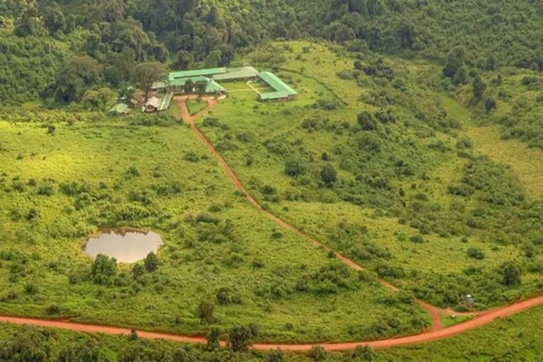 Ngorongoro Rhino Lodge