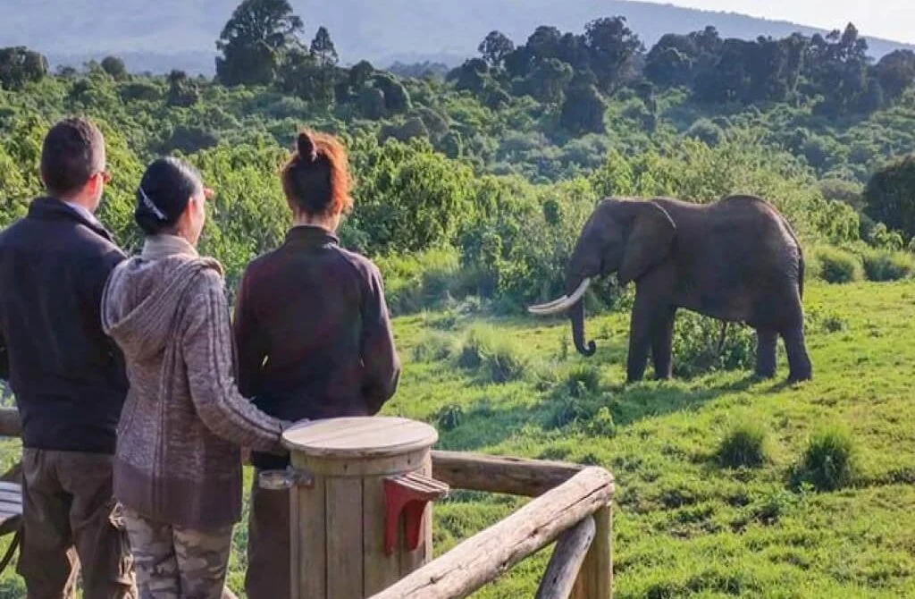 Ngorongoro Rhino Lodge