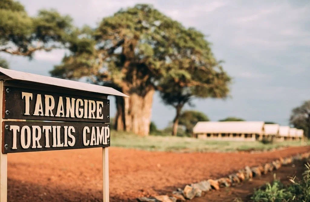 Tarangire Tortilis Camp