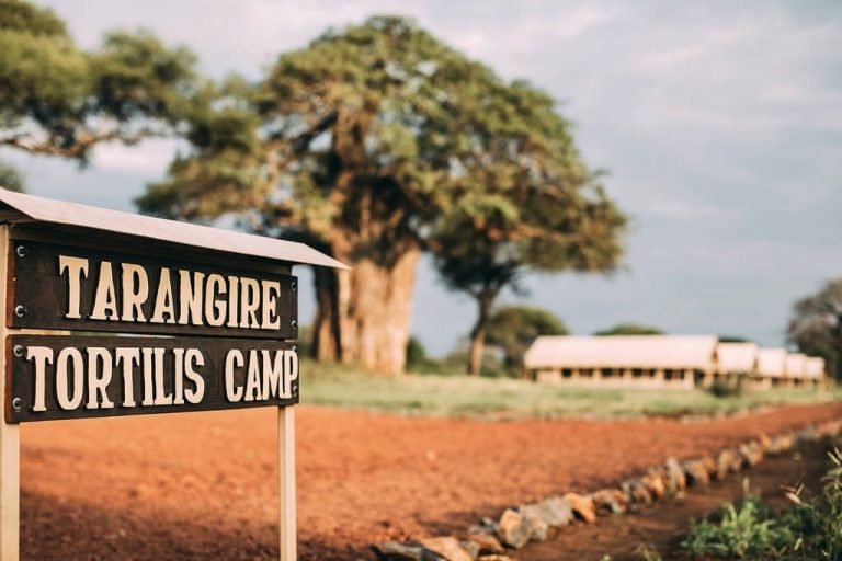 Tarangire Tortilis Camp