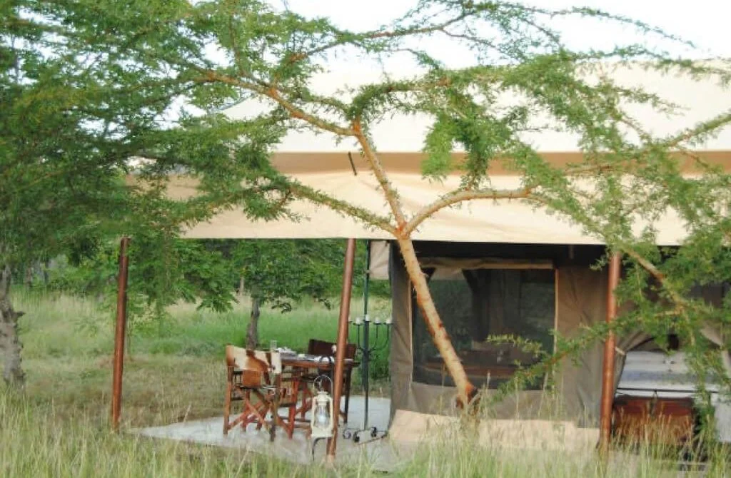 Tanzania Bush Camp Ndutu