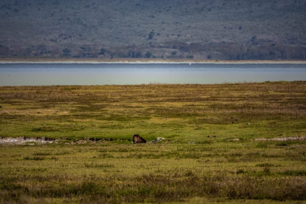 7 days - Baobab Safari