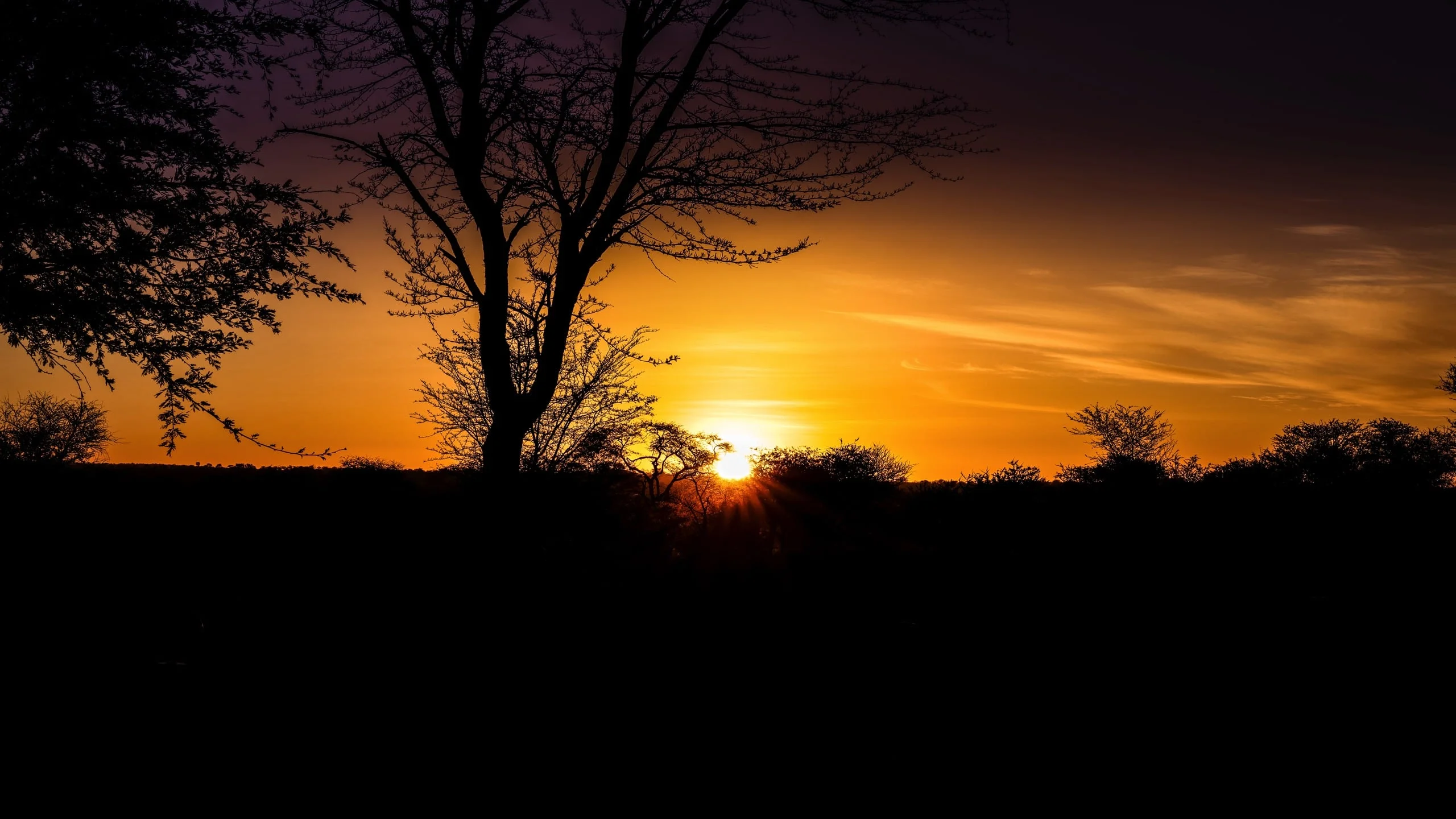 4 Days - Serengeti Safari