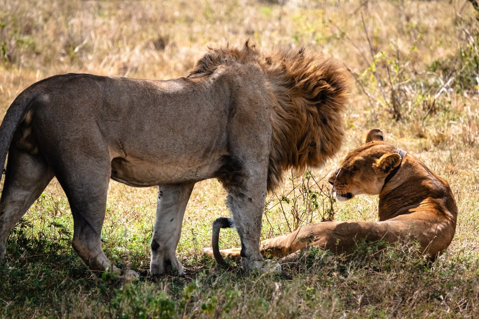 7 days - Baobab Safari