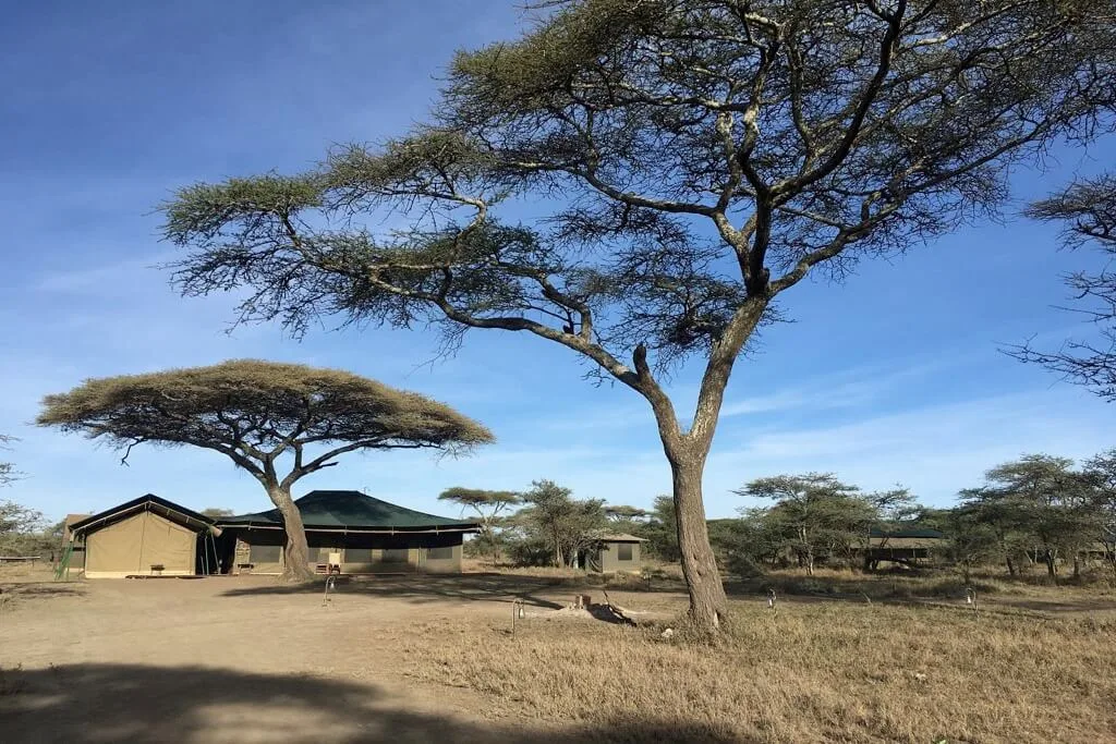 Ang'ata Migration Ndutu Camp