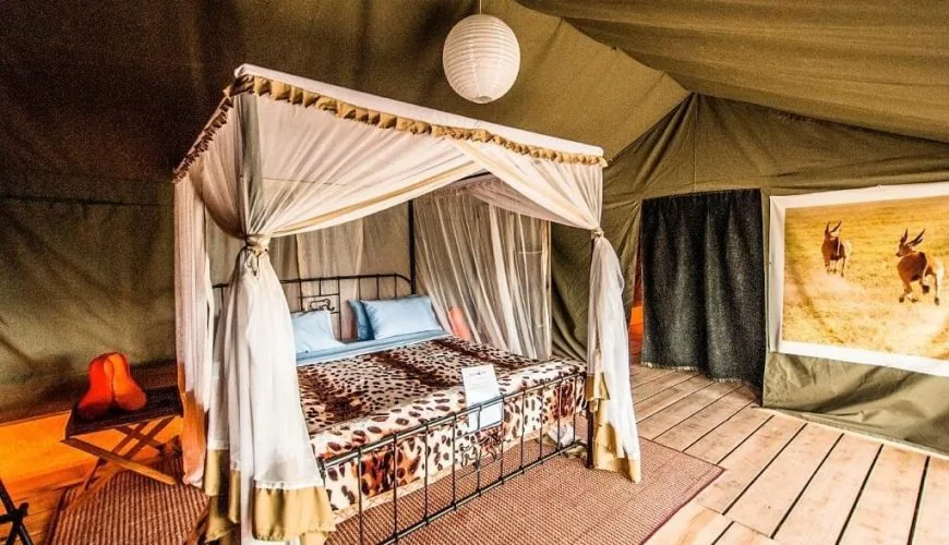 Ang'ata Migration Ndutu Camp