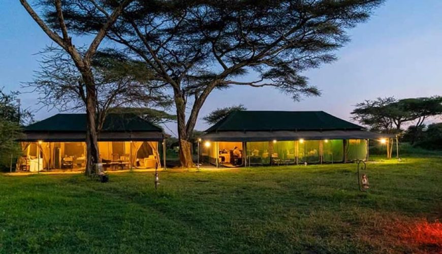 Ndutu Heritage Camp