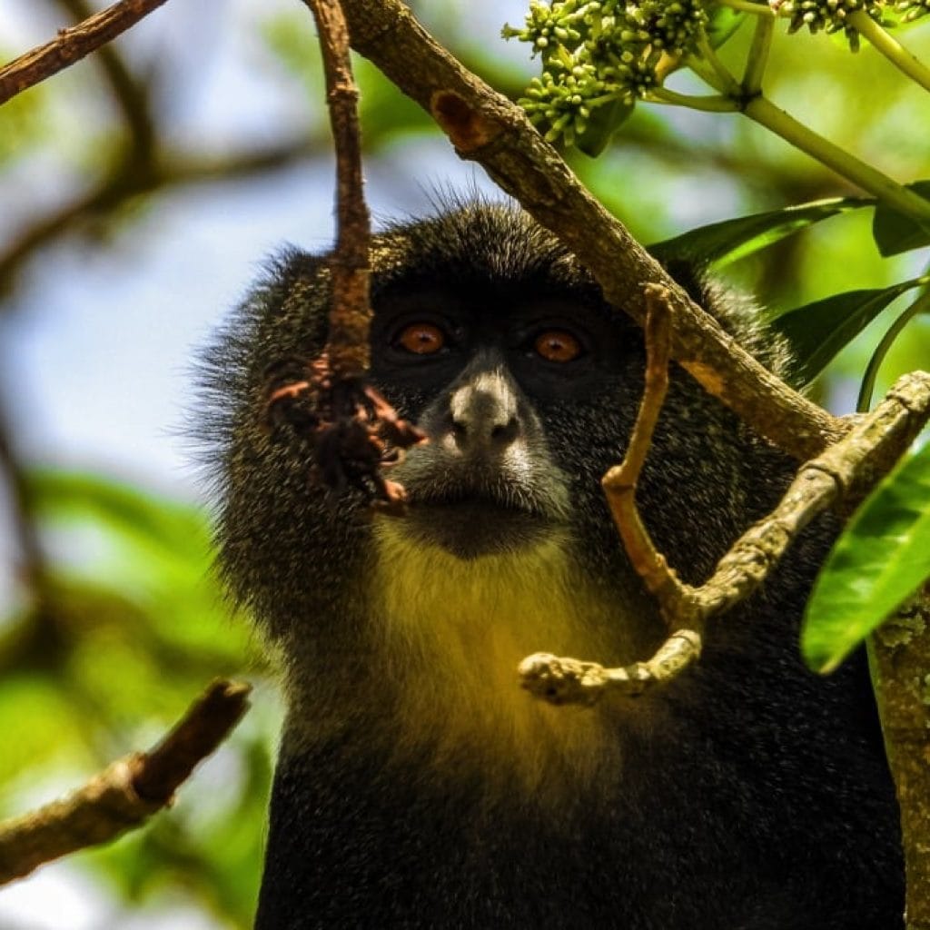 Arusha National Park 3 days Safari – Choose Your Park Ngorongoro Crater