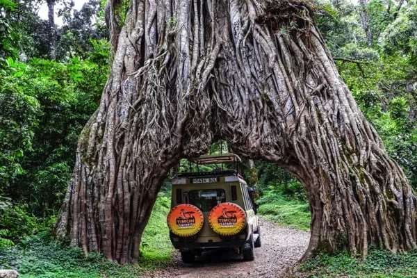 ArushaNationalPark1