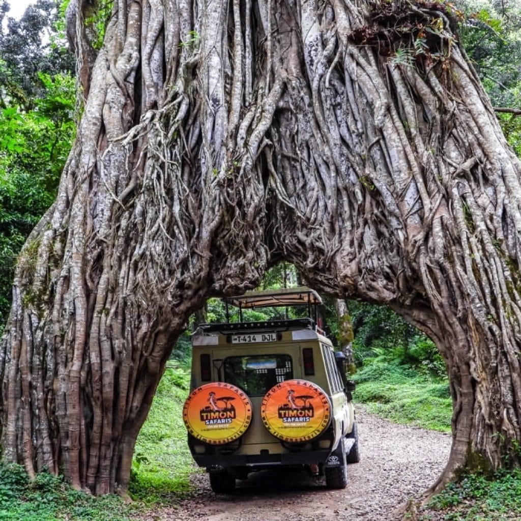 ArushaNationalPark1