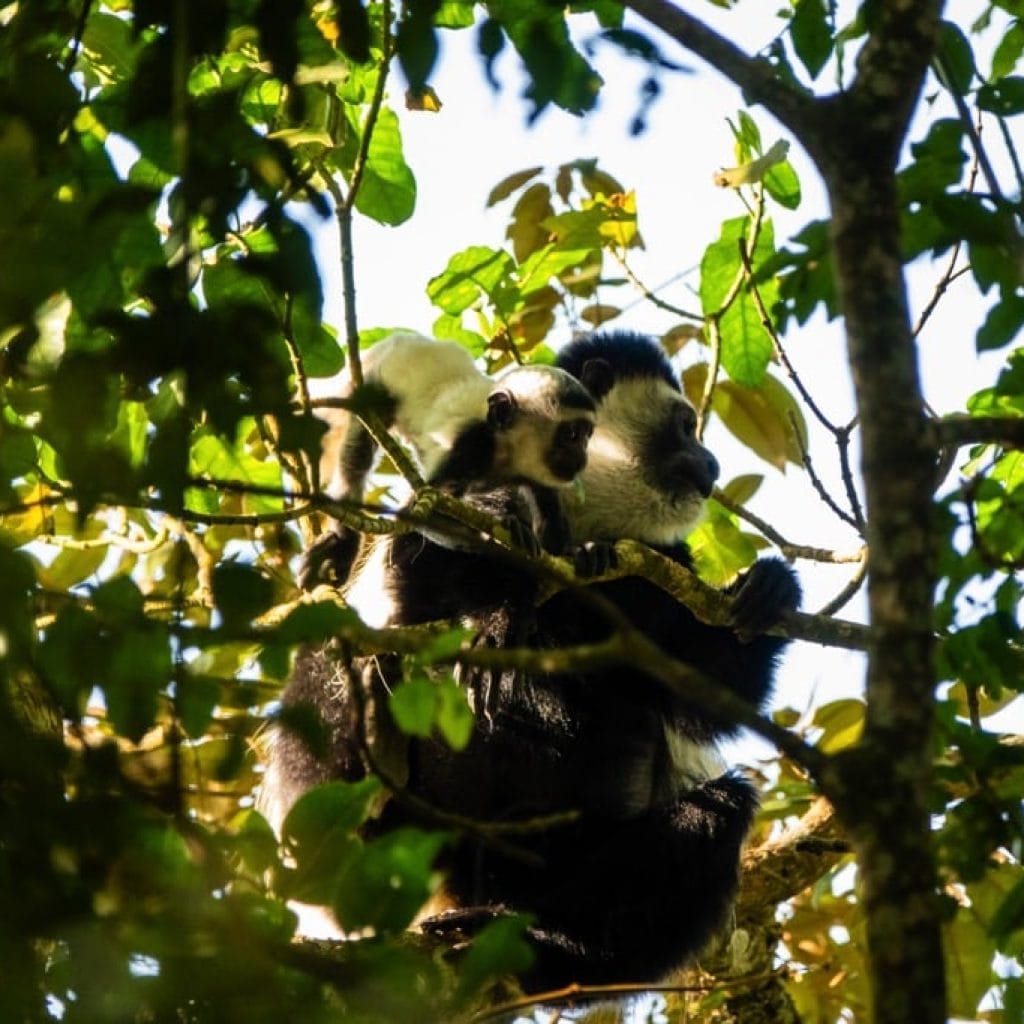 ArushaNationalPark11