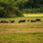 Arusha National Park