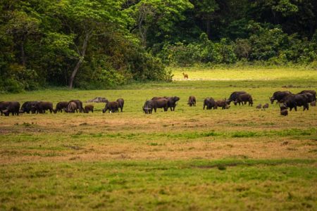 Arusha National Park