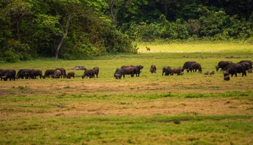 Arusha National Park