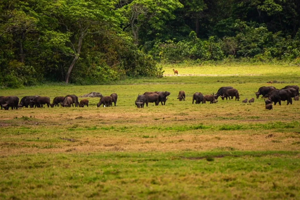 Arusha National Park