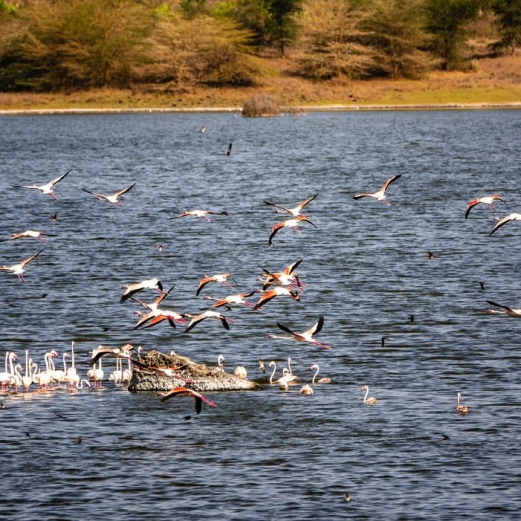 ArushaNationalPark9