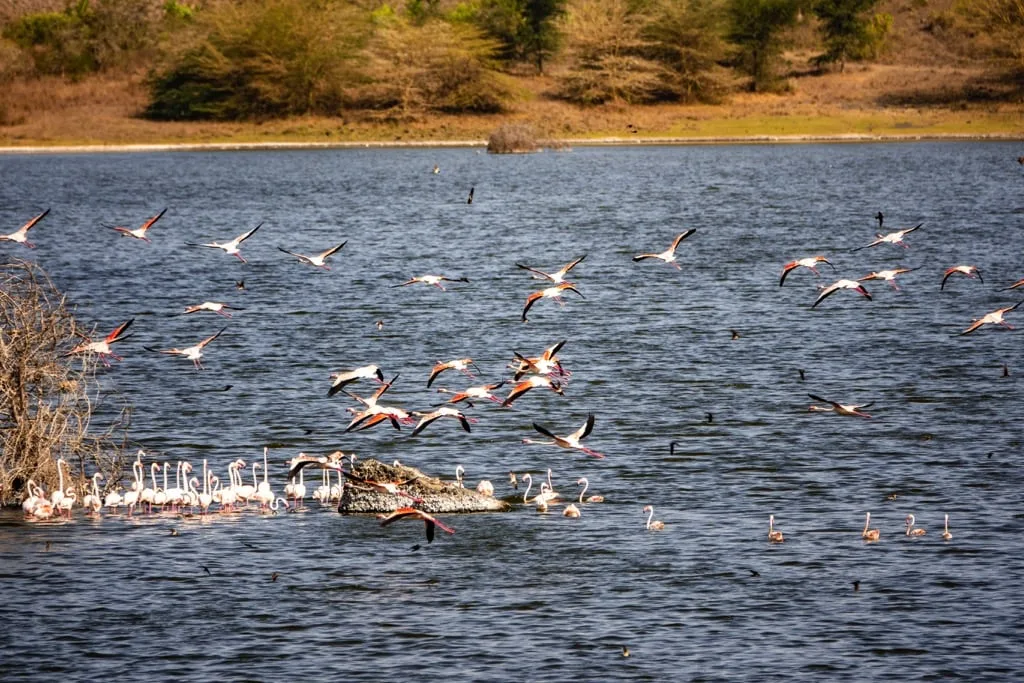 ArushaNationalPark9