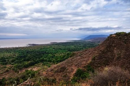 Destinations Lake Manyara National Park Featured