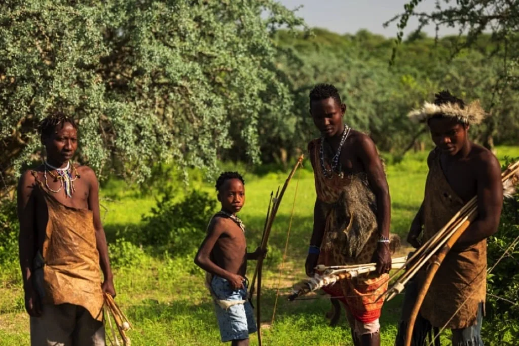 Timon Safaris