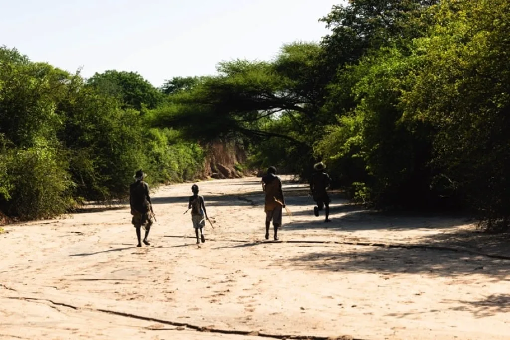 Timon Safaris