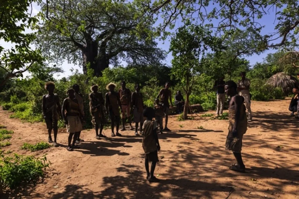 Timon Safaris