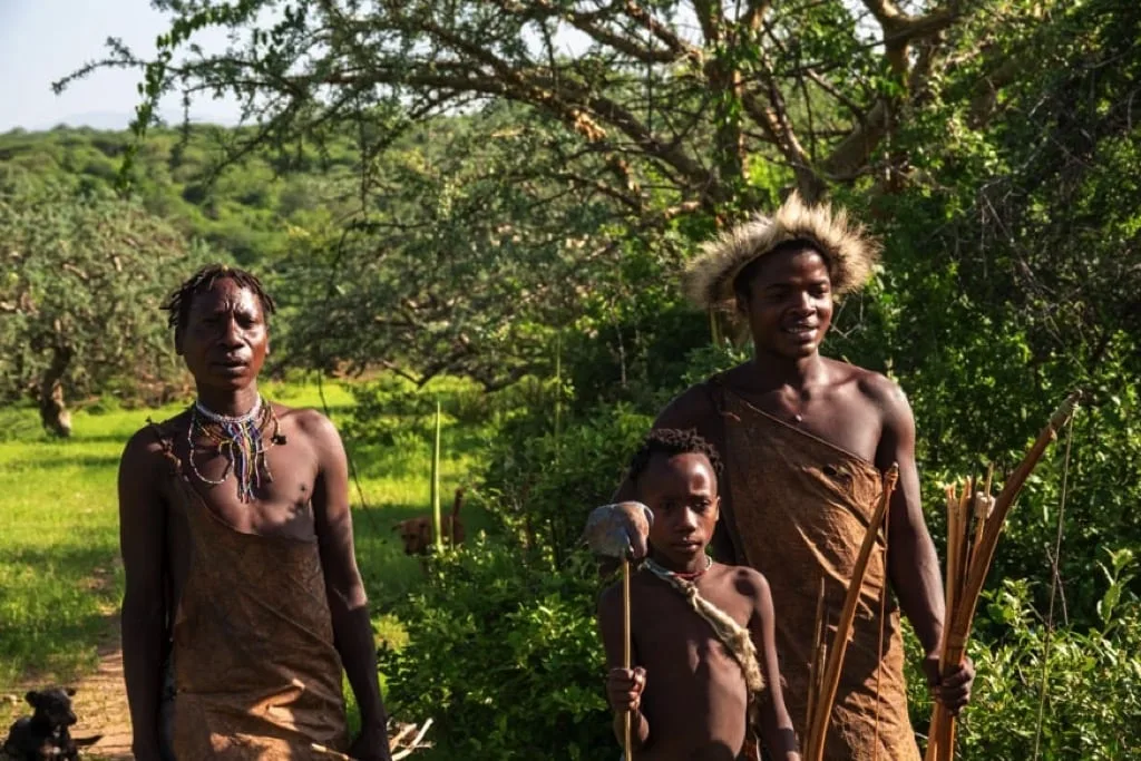 Timon Safaris