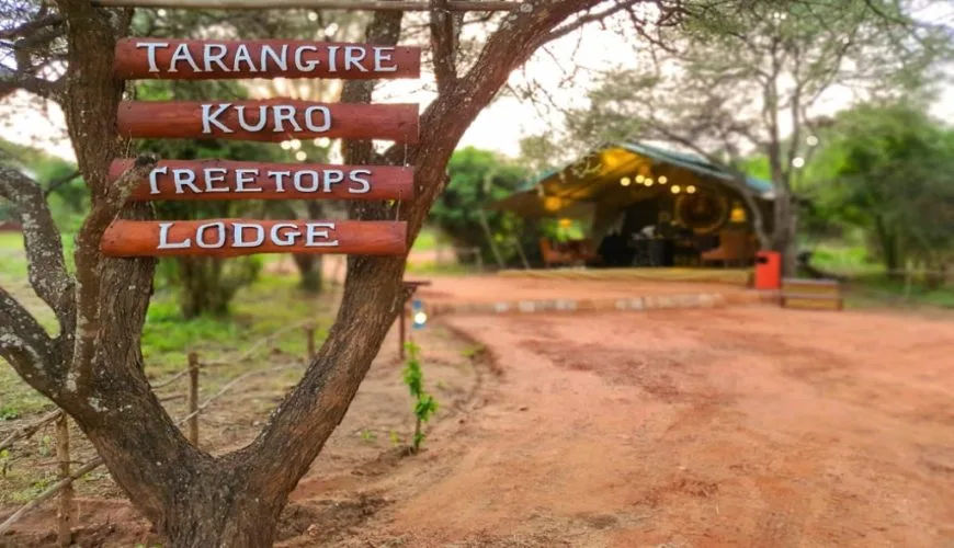Tarangire Kuro Treetops Lodge