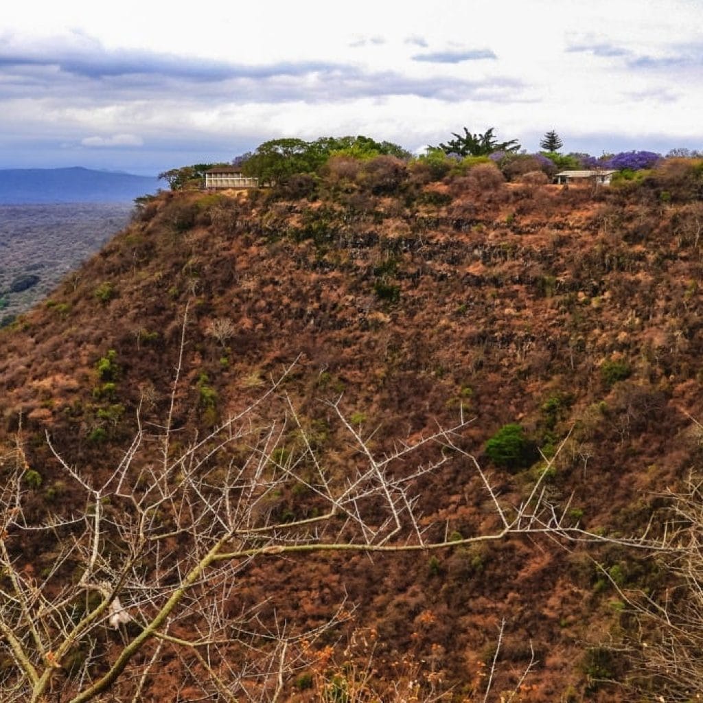 Lake Manyara National Park 6 days Signature Safari