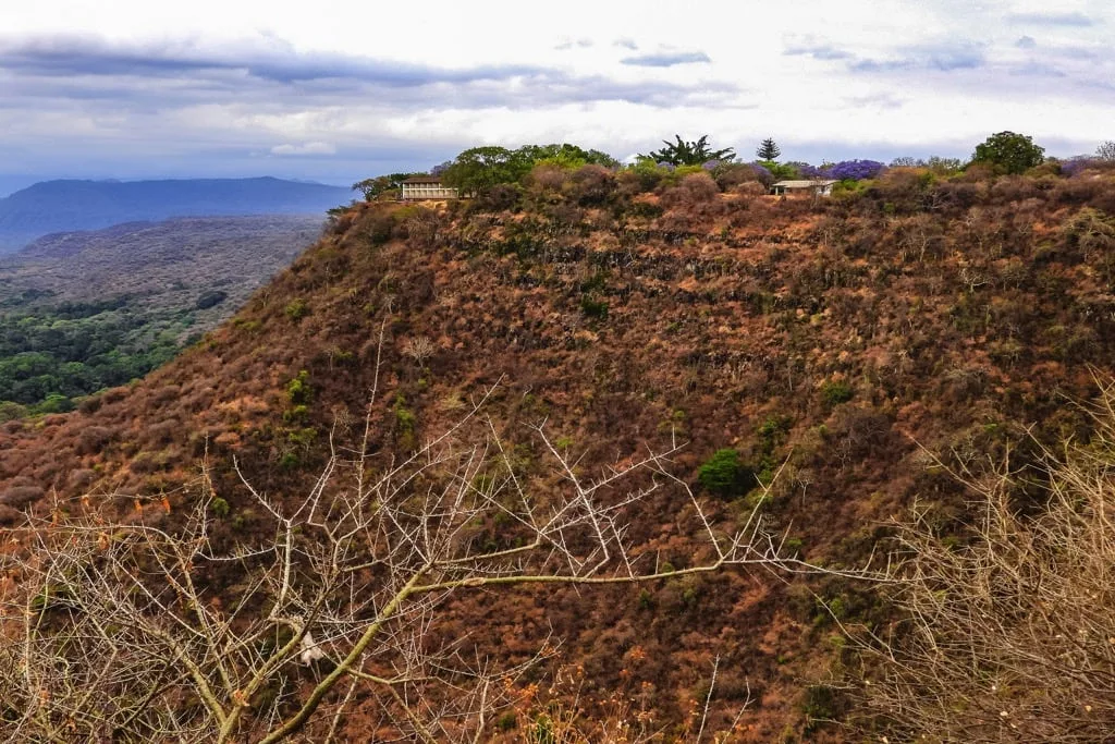 Lake Manyara National Park 6 days Signature Safari
