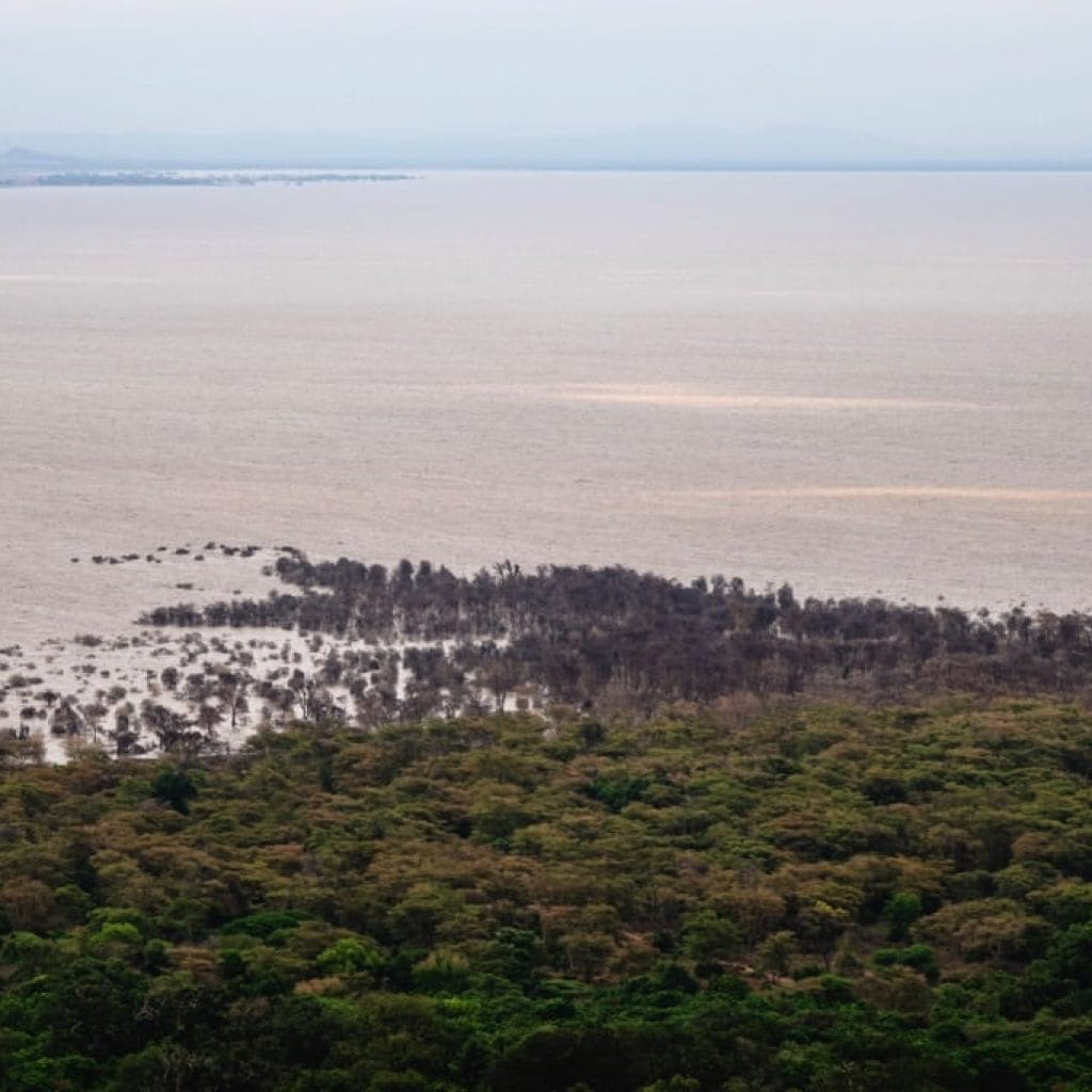 Lake Manyara National Park 7 days Baobab Safari