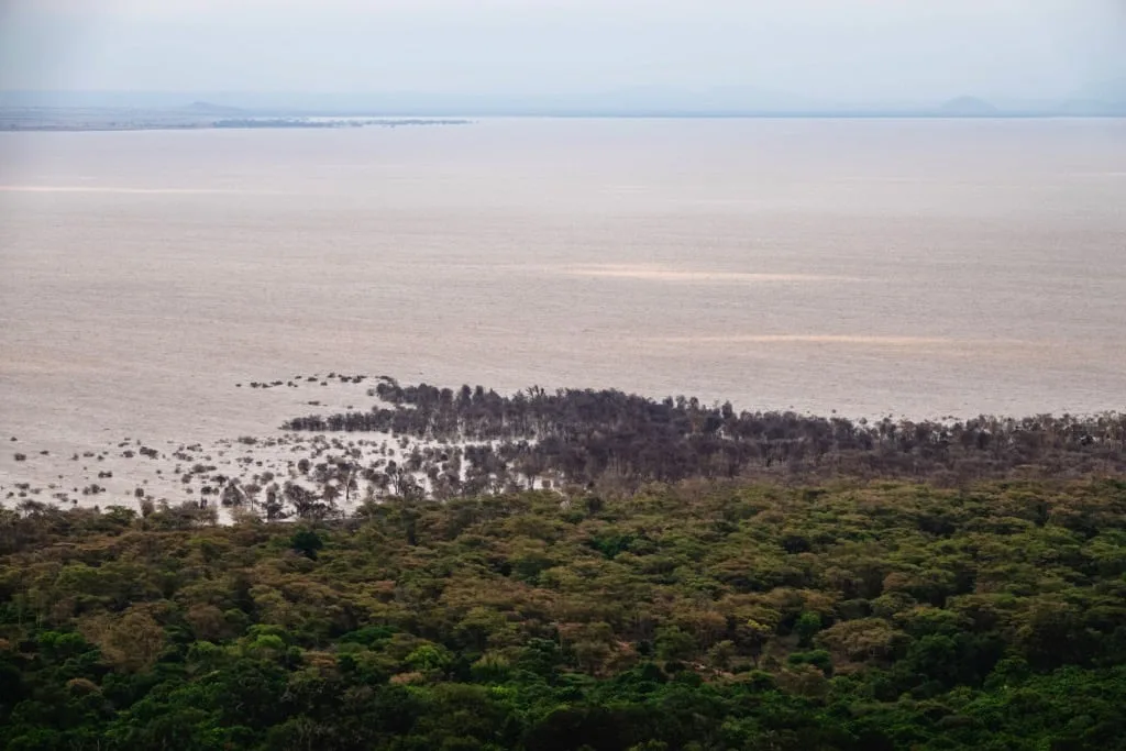 Lake Manyara National Park 7 days Baobab Safari