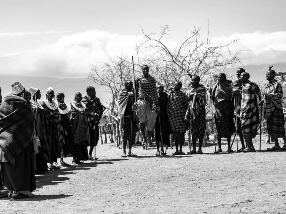 Ndutu 2509 Coolpix P1000 IMG 29956.jpeg