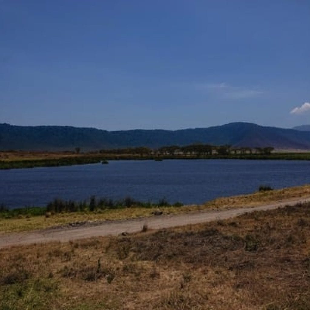 Ngorongoro Crater 4 Days Safari – Great Ngorongoro Crater