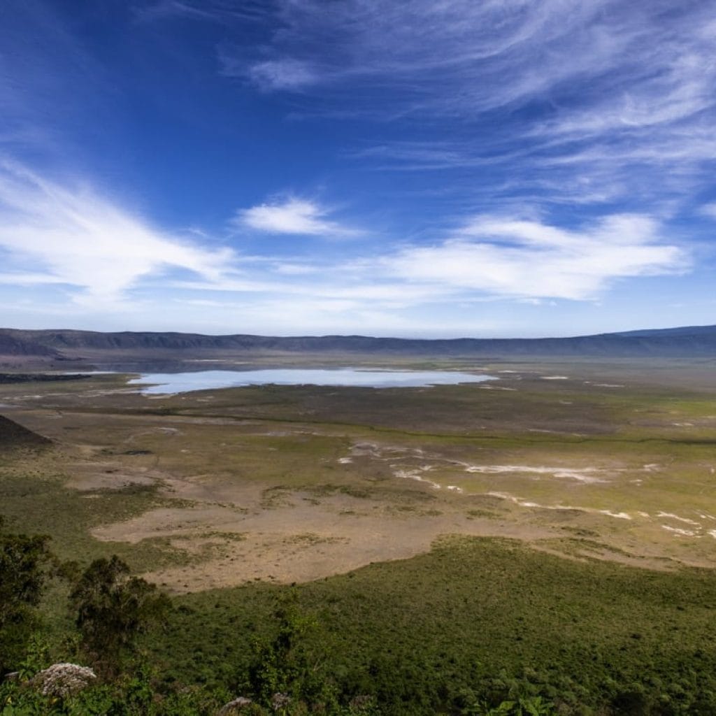 Ngorongoro