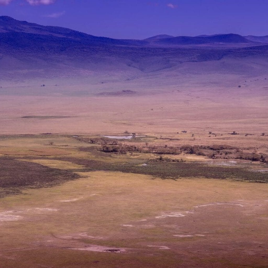 NgorongoroGallery