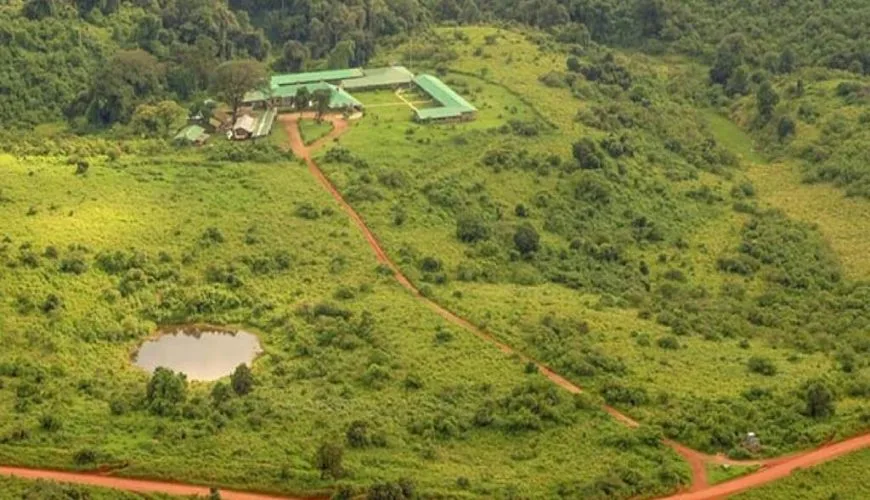 RhinoLodge