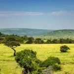 Northern Tanzania
