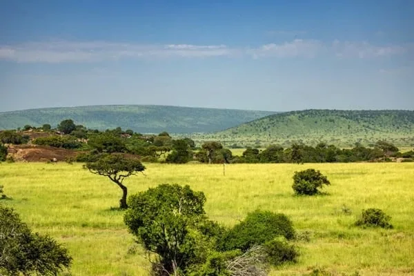 Serengeti National Park