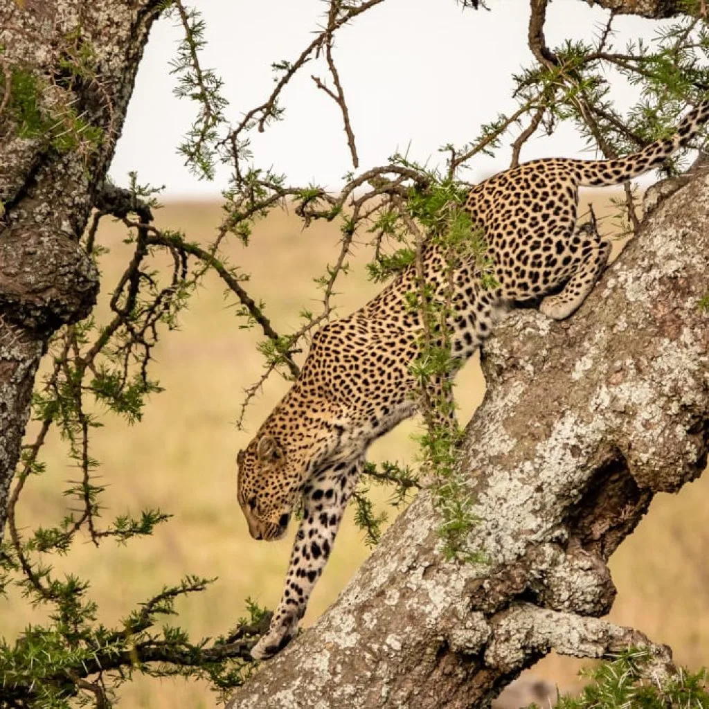Serengeti National Park