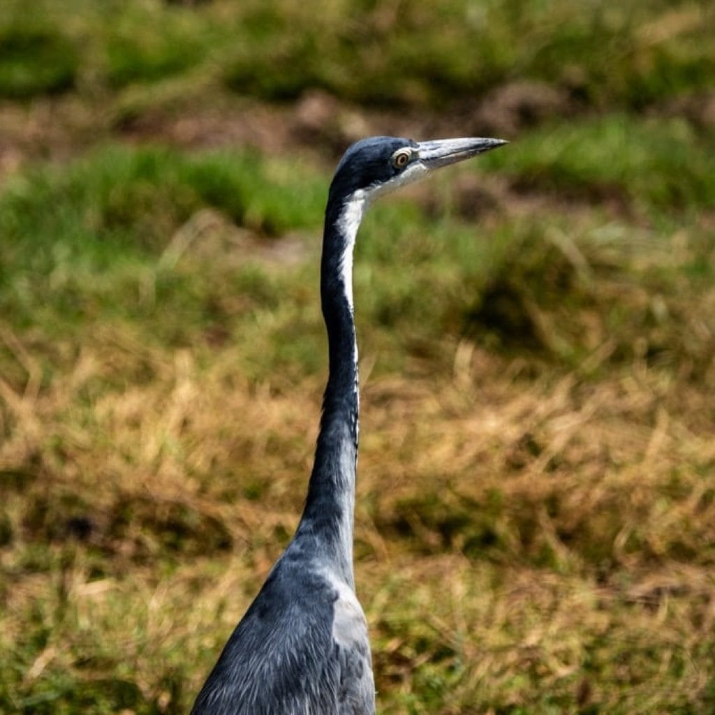 Travel Destinations Ngorongoro Crater
