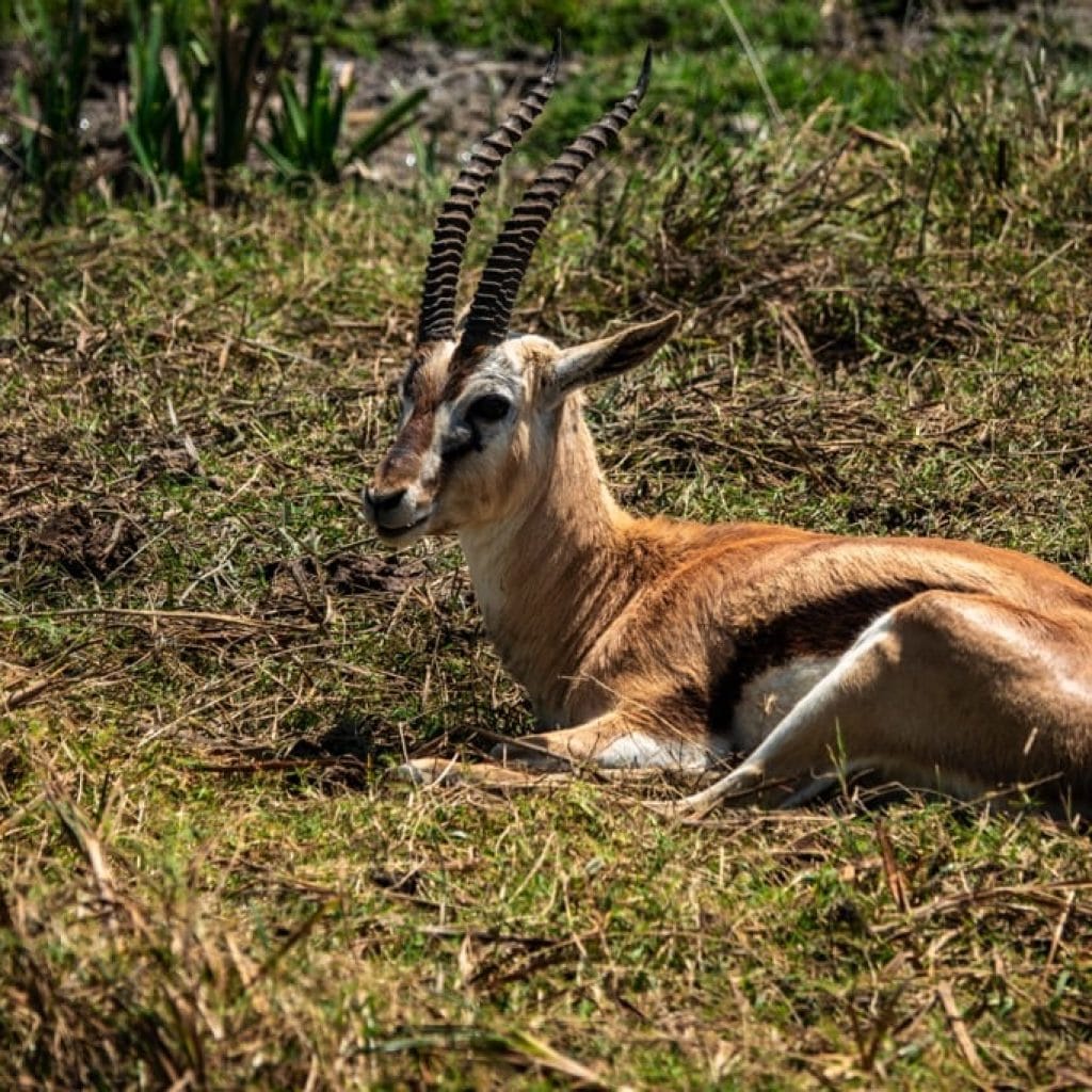 Travel Destinations Ngorongoro Crater